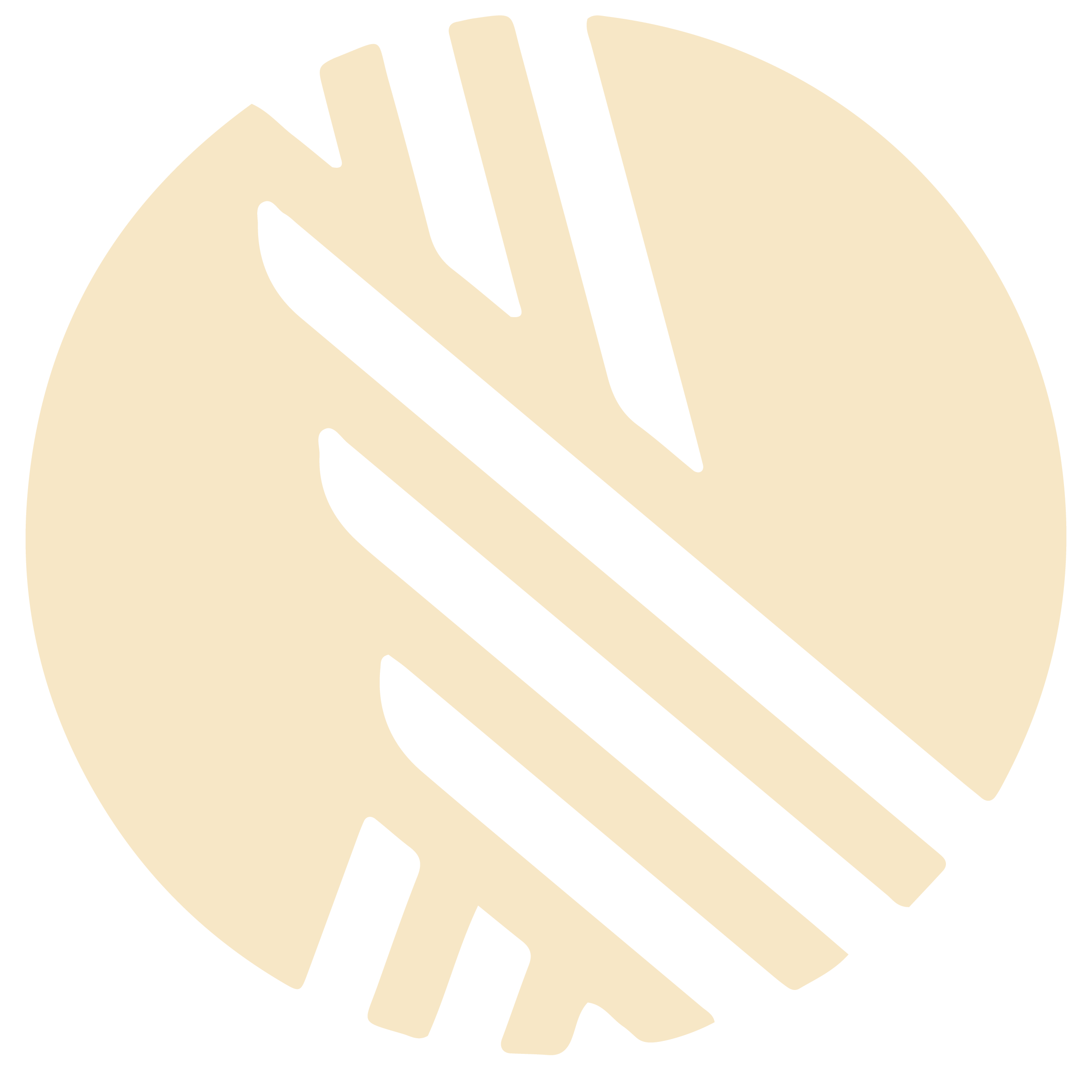 Arig Logo